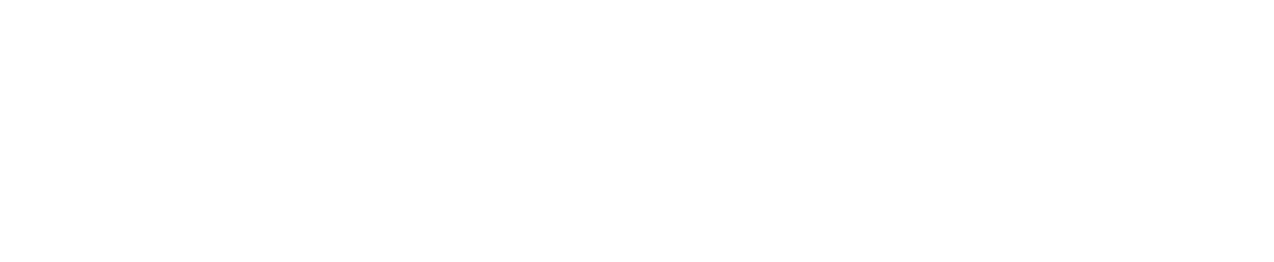 Lounge V.I.P
